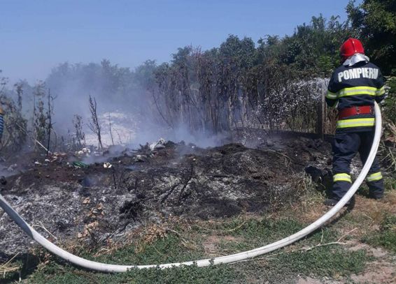 Incendii accidente rutiere si alte interventii | imaginea 1
