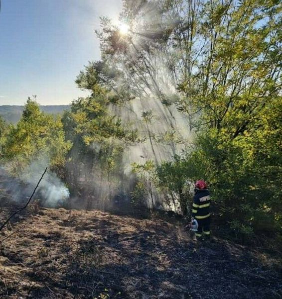 Incendii protectia comunitatii si alte situatii de urgenta | imaginea 1
