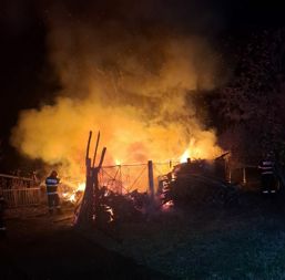 Misiunile pompierilor valceni | imaginea 1