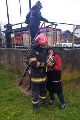 Un catelus norocos | imaginea 1