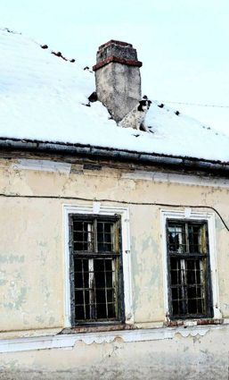 Misiune indeplinita Un suflet salvat din frig | imaginea 1