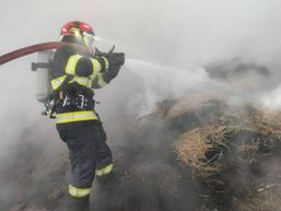 Zeci de animale evacuate dintr un incendiu masiv | imaginea 1