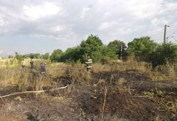 Peste 3 hectare de vegetatie facute scrum de canicula | imaginea 1