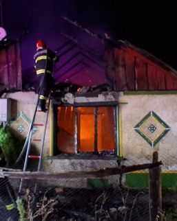 Incendii in lant copaci cazuti si misiuni de salvare | imaginea 1