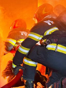 Bombe descoperite incendii de vegetatie si 86 de urgente | imaginea 1