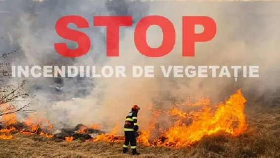 Incendiile de vegetatie ameninta viata si bunurile celor dragi | imaginea 1